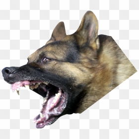 Dog Yawns, HD Png Download - dog png hd