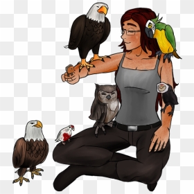 Bald Eagle, HD Png Download - eagle sitting png