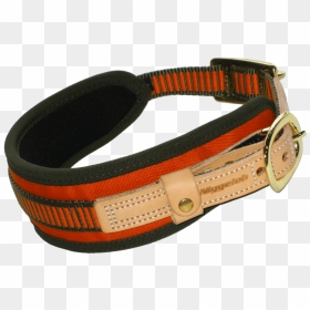 Blood Tracking Collar Size S - Strap, HD Png Download - dog belt png