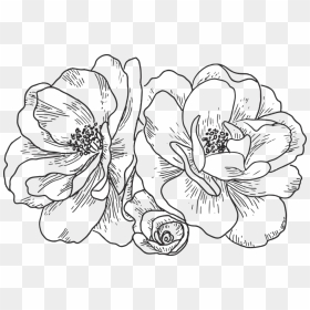 Line Art, HD Png Download - vector flower design png