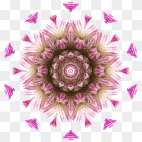 Pink,flower,symmetry - Floral Design, HD Png Download - vector flower design png