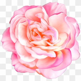 Png Клипарт "beautiful Flowers - Realistic Flowers Png Transparent, Png Download - pink vector flowers png