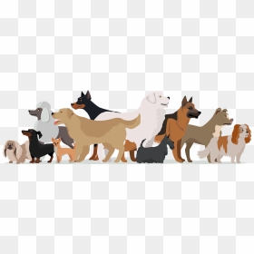 Dog, HD Png Download - service dog png