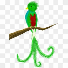 Quetzal Clipart Png , Png Download - Quetzal Clipart, Transparent Png - quetzal png