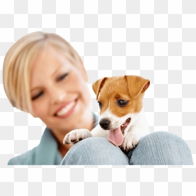 In Home Dog Training - Dog, HD Png Download - service dog png