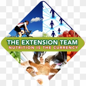 Our Extension Team Logo - Windsurfing, HD Png Download - youngevity logo png