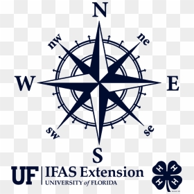Printable Images Of A Compass, HD Png Download - uf gator png