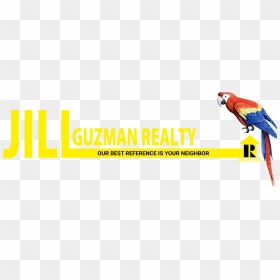Jill Guzman Realty, HD Png Download - guzma png
