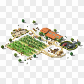 Thumb Image - Pine, HD Png Download - vineyard png