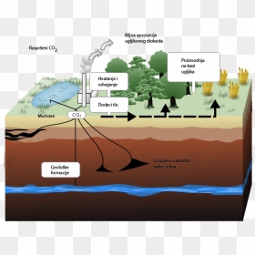 Carbon Capture And Storage, HD Png Download - carbon dioxide png