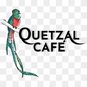 Quetzal Logo Web - Macaw, HD Png Download - quetzal png
