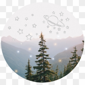Nature Photography, HD Png Download - pinos png