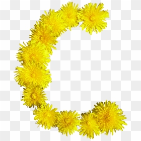 File - Blumen-c - Blumen C, HD Png Download - c.png