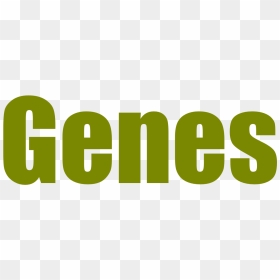Graphic Design, HD Png Download - genes png