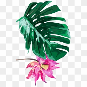 Tropical Palm Tree Background, HD Png Download - 5.png