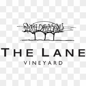 Lane Vineyard Png, Transparent Png - vineyard png