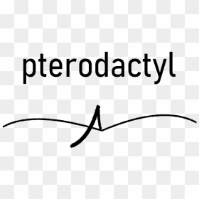 Pterodactyl Is An Open Source Plug In For The Purpose - Calligraphy, HD Png Download - black underline png