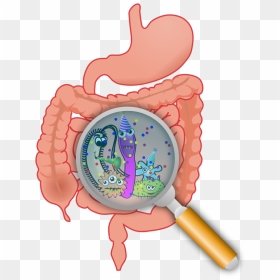 Free Party In The - Bacteria In Intestine Cartoon, HD Png Download - colon png