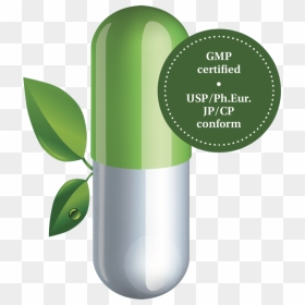 Graphic Design, HD Png Download - capsule png