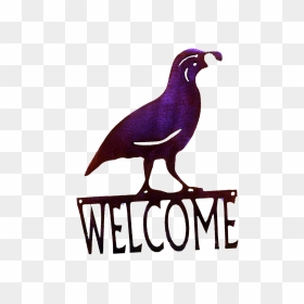 Quail Welcome-small Larger Image - Clip Art, HD Png Download - quail png