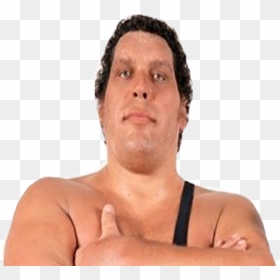 Andre The Giant 2018 Poster, HD Png Download - andre the giant png