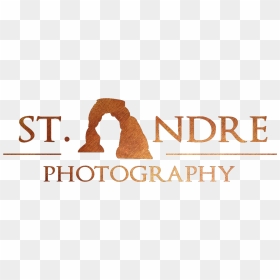Andre Photography Logo - Photography Logo Png S T, Transparent Png - andre the giant png