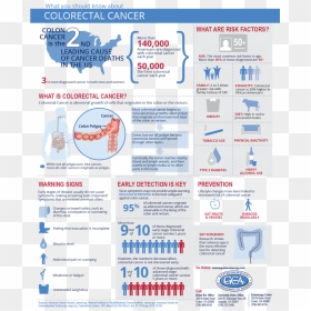 Colorectal Cancer - Am Gard, HD Png Download - colon png