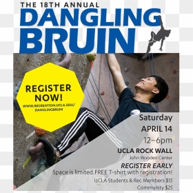 The Dangling Bruin Is A Points-based, Climbing Competition, HD Png Download - rock wall png