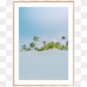 White Border Oak, HD Png Download - oak png