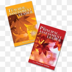 Assessment Leaders Set - Flyer, HD Png Download - ainsley png