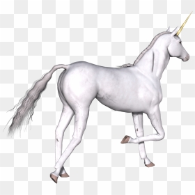 Unicornio Blanco Pata Derecha Arriba - Unicorn, HD Png Download - unicornios png