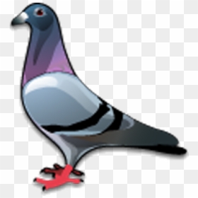 Stock Dove Bird Columbidae Icon - Pigeon Icon Png, Transparent Png - dove icon png