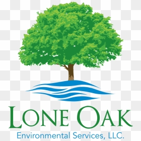Lone Oak Environmental Services - Captains Tree Service Llc, HD Png Download - oak png