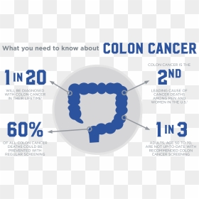 Colon Cancer Infographic, HD Png Download - vhv