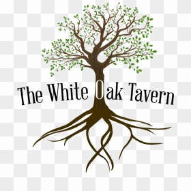 Tree With Roots Png, Transparent Png - oak png