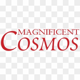 Cosmos, HD Png Download - cosmos png