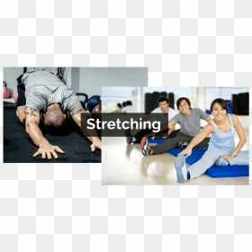 Stretching Dynamic Static - Health And Fitness, HD Png Download - stretching png