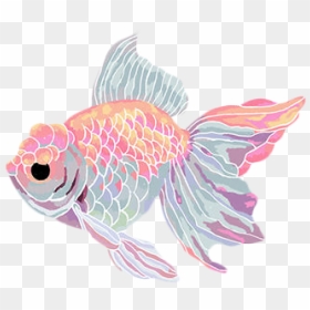 #fish #pez #tumblr #colorful - Transparent Background Fish Gif, HD Png Download - pez png