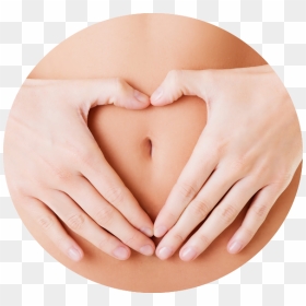 Feel Healthy, Light, Clean & Full Of Energy With Colon - Fisioterapia Saude Da Mulher, HD Png Download - colon png