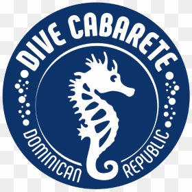Dive Cabarete Dominican Republic Diveoclock - Northern Seahorse, HD Png Download - dominican republic png
