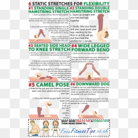 Static Stretches For Flexibility, HD Png Download - stretching png