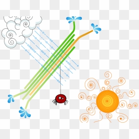 Itsy Bitsy Spider Clipart , Png Download, Transparent Png - smorc png
