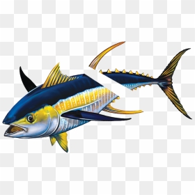 Porc-tn43r Tuna With Split Reverse - Yellowfin Tuna, HD Png Download - reverse png