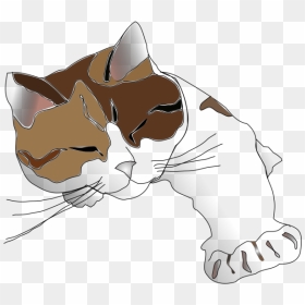 Missiridia Sleepy Calico Cat Png Icons - Clip Art Calico Cat, Transparent Png - sleepy png