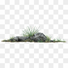 Rock Grass Plant Wall Decal Sticker - Wall Stickers Grass And Rock, HD Png Download - rock wall png