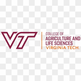 Graphic Design, HD Png Download - virginia tech png