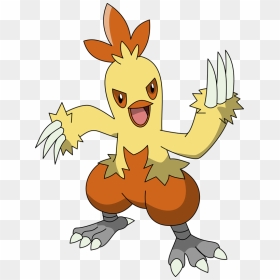 Pokemon 256 Combusken Pokedex - Combusken Pokemon, HD Png Download - combusken png