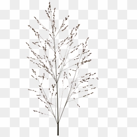 Christmas Tree, HD Png Download - heavy metal png