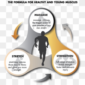 Flyer, HD Png Download - stretching png