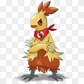 Combusken Doodle , Png Download - Cartoon, Transparent Png - combusken png